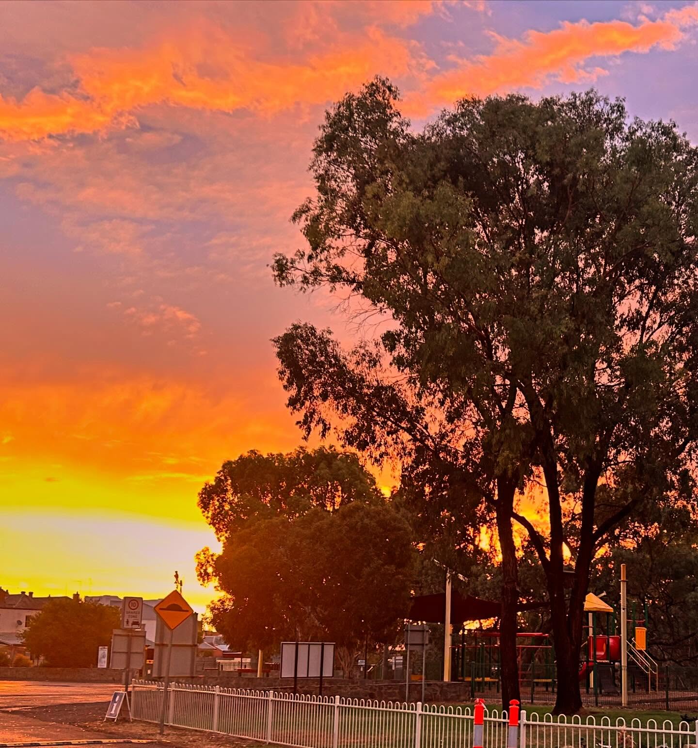 Fiery sunset over the parkland