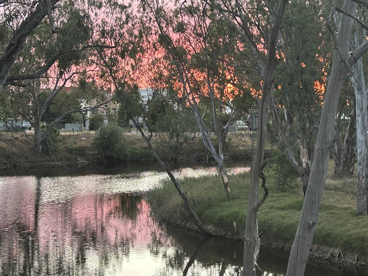 Pink sunset reflected in the river